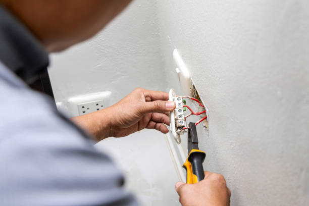 Best Electric Panel Repair  in River Park, FL
