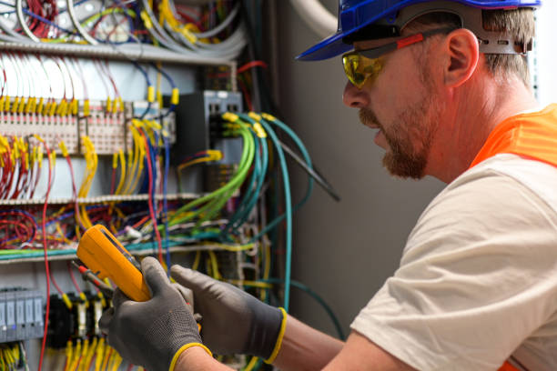 Best Electric Panel Repair  in River Park, FL